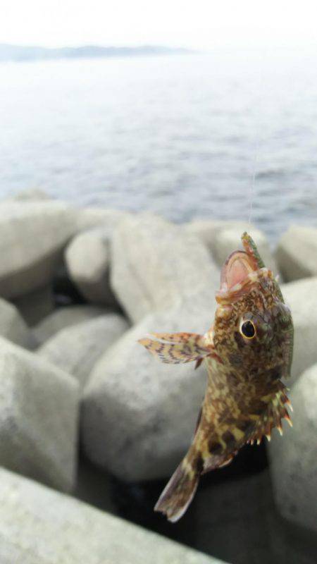 灘浜で投げる！