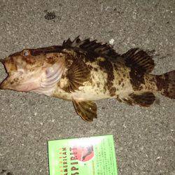 仕事帰りにぶらり