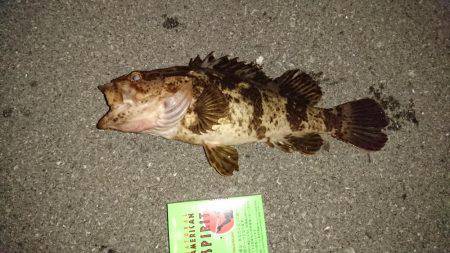 仕事帰りにぶらり