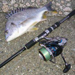 トップチニング