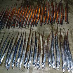 タチウオ大爆釣