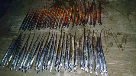 タチウオ大爆釣