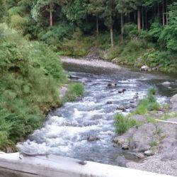 大増水で・・・