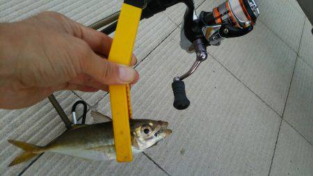 新たな場所を求めて!!