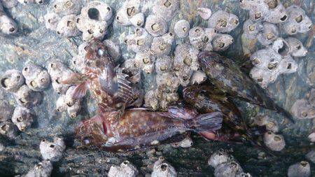 人多く賑わった漁港