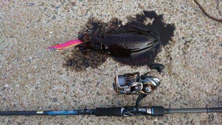 ちょいエギング