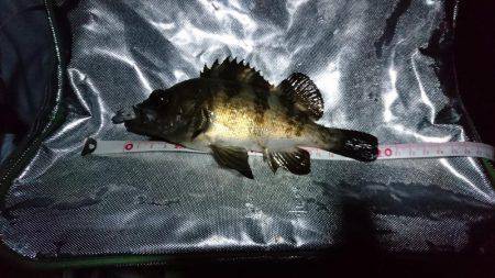 メバリングとその他