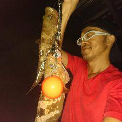 今季初日本海アコウ遠征