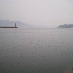 キス釣りのはずが・・・