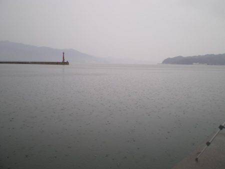 キス釣りのはずが・・・