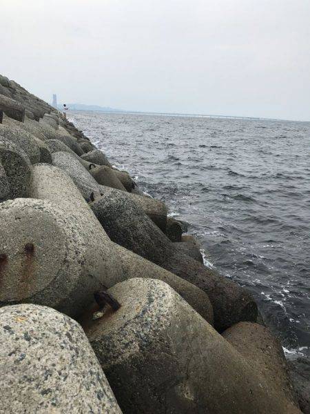 ツバスいました！