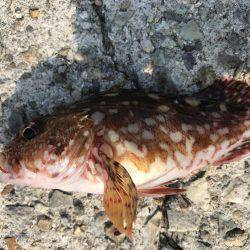 タイミング良く…