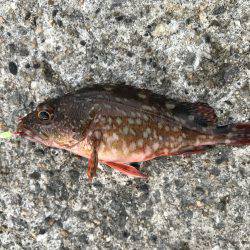 あまりの暑さに…。