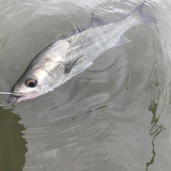 今季初デイゲーム