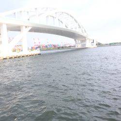 シーズンですね〜