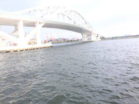 シーズンですね〜