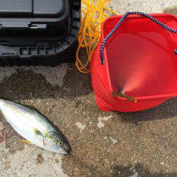 ニューロッド入魂