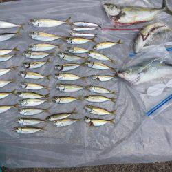 ひさびさの釣り