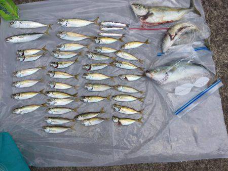 ひさびさの釣り