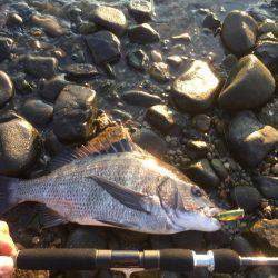 出勤前チニング