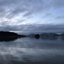 困ったときのガッシー