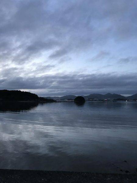 困ったときのガッシー