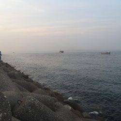 ダーツ？ダツ！