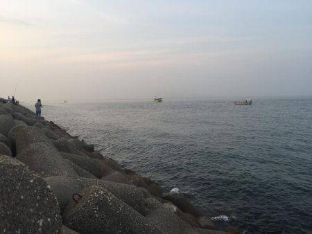 ダーツ？ダツ！