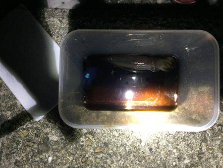 ケンサキリベンジ