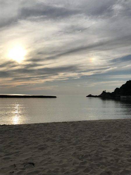 去年の爆釣を夢見て