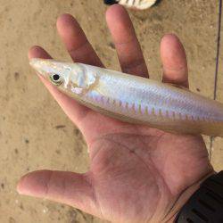 キスサイズアップ〜