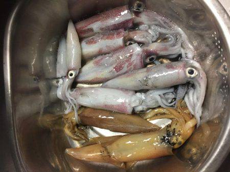 初、イカメタル