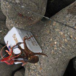 マイポイントでオクトパッシング