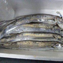 テンヤでタチウオ