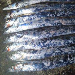 阿南市の辰巳でタチウオテンヤ