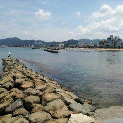 ボラが釣れるとは！