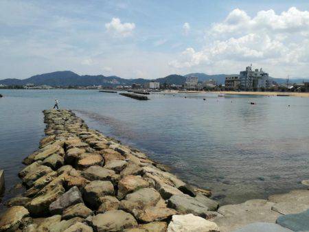 ボラが釣れるとは！