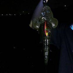 初　千代崎ビーチ　ジギング