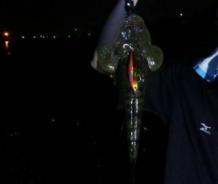 初　千代崎ビーチ　ジギング