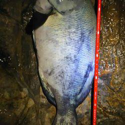 ひさびさのフカセ釣り