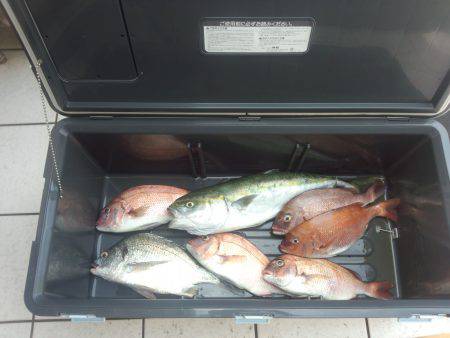 まるちよう海上釣堀