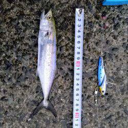 リベンジならず…