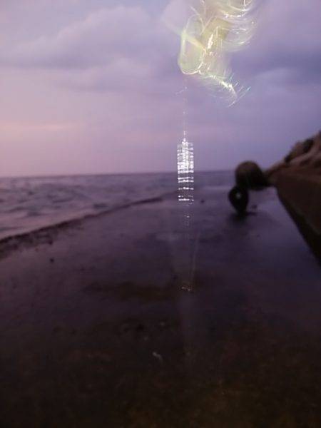 ジグサビキ、ワインド