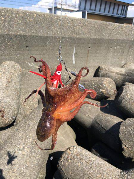 仕事終わりにオクトパッシング