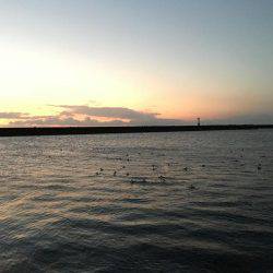 入れ食いながらも