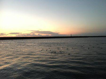 入れ食いながらも