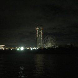 台風直後のメバリング