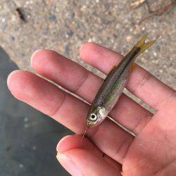 ちょっと暇つぶし