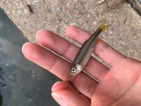 ちょっと暇つぶし