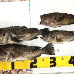 旅行フィッシング